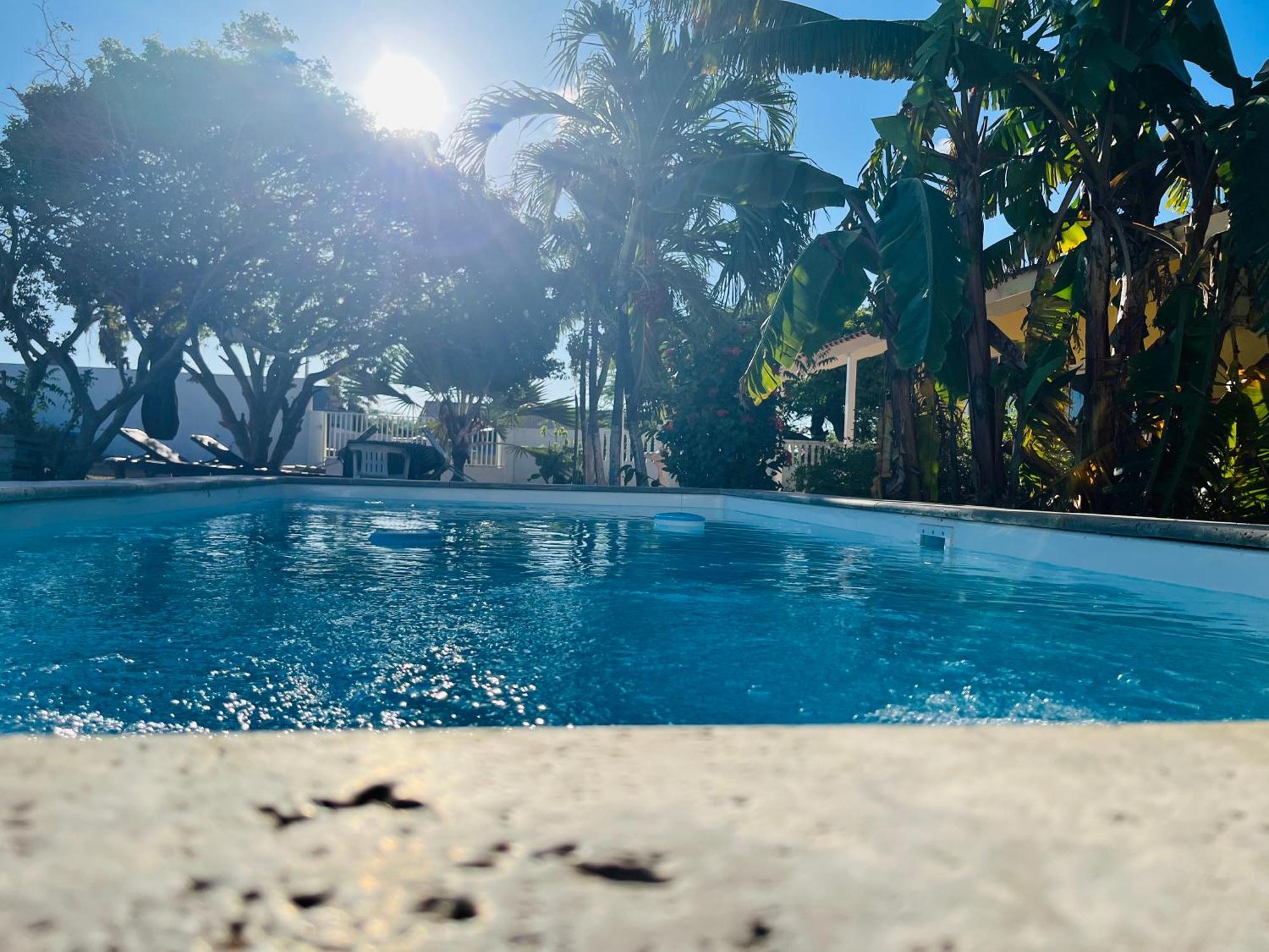 Bon Bini Kokolishi Hotel Willemstad Kültér fotó